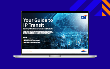 ip-transit-ebook-mobile